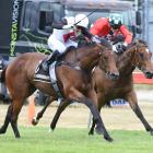 Hastings filly Xpression (outer) starts at Ashburton tomorrow. Photo: Race Images