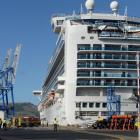 The crewman was killed on board the cruise ship Emerald Princess in February. Photo: Linda Robertson