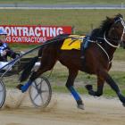 Alderbeck and Brad Williamson face strong competition in race 8 at Invercargill today. Photo:...