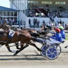 Eamon Maguire, driven by Natalie Rasmussen, sprints to the finish in the Ashburton Flying Stakes...