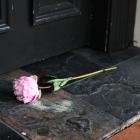 A single flower outside the entrance to Carousel lounge bar in Dunedin yesterday, where a man...