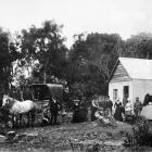 A photo captioned ‘‘Women vote at their first election, Tahakopa’’, shows a horse-drawn carriage...