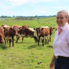 Bridget Lowry gets out on her Balclutha farm with some of her Pinzgauer cattle. She says she...