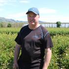 Rodger Whitson displays some of his peony plants. All will be picked by hand in the coming weeks...