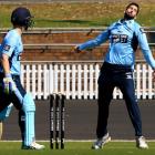 Will Somerville bowls for New South Wales in a one day game in 2017. Photo: Getty Images