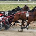 Ashburton trainer-driver John Hay drives Mighty Santana to a front-running win in the Gore Cup...