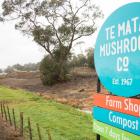 As part of Te Mata Mushrooms' resource consent, odours are not allowed to leave the boundaries of...