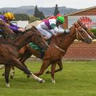Express Rip (green cap) is just about to get his nose in front of runner-up Hombre to win race 3...