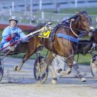 Talented Canterbury squaregaiter Harriet Of Mot heads the field for today's free-for-all trot at...