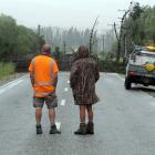 Crews prepare to clear a tree that fell on to power lines in Earnscleugh Rd, near Alexandra about...