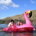 Floating down the Lindis River on a blow-up pink flamingo earlier this week are (from left) Jacob...