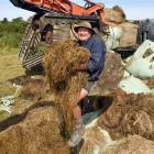 Nursery owner Rodney Hogg has been collecting baleage swept up in November's flood from the road...