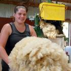 Davis Shearing woolhandler Cheri Peterson, of Milton, is aiming high at the regional champs in...