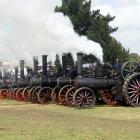 Traction engines let off steam at a previous edition of Crank Up. PHOTO: ALISTER ANDERSON/SUPPLIED
