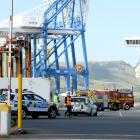 Police and fire services were called to the Emerald Princess in Port Chalmers, where an explosion...