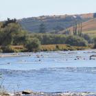 The Mataura River, better for you sanity. Photo: ODT files 
