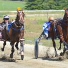 Funatthebeach (6) and driver Tim Williams beat A G's White Socks and Ricky May (right) to win the...