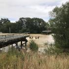 Pyramid Bridge, halfway between Waikaia and Waikaka, was washed away in February last year and...