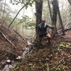 Competitors in the inaugural Revenant Ultra Adventure Run will face gruelling terrain as they...