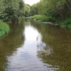 The Selwyn River was one of three tested in May and September. Photo: RNZ