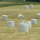 This season's high baleage production will add to the problems of correctly disposing of bale...