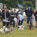 Photo: Gerard O'Brien