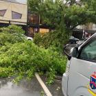 A tree blocks traffic at the corner of Church St and Marine Parade in central Queenstown. Photo:...