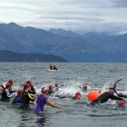 Some were quicker than others at getting off the mark at the start of the 2.5km Ruby swim race....