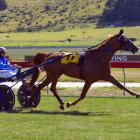 Enigmatic trotter One Over Da Stars strides out perfectly to win at Oamaru on Saturday. PHOTO:...