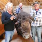 Nadia and Blair Wisely with Bobo the bison, their original sire. In the background is Bobo's...