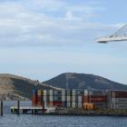 Piles (far left) have been sunk for the future $1 million Port Otago public fishing wharf at...