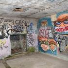 Graffiti in the gun emplacements at Harington Point. PHOTO: GREGOR RICHARDSON