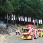 The long, dry summer affected Port Otago's log exports; pictured, firefighters discuss plans to...