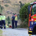 Firefighters at the scene of a scrub fire near Queenstown. Photo: Paul Taylor