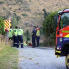 Firefighters at the scene of a Queenstown blaze they believe was started by a  a fleeing driver....