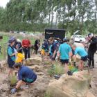 The rest area where the Alps 2 Ocean cycle trail intersects Cants Rd, northwest of Oamaru, is...