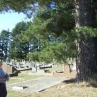 Omakau resident Penny Sinnamon takes a final glance at one of the pine trees at Omakau’s Blacks...
