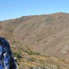 Central Otago Wilding Conifer Control Group project manager Phil Murray looks over hills on...