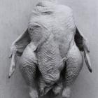 Headless Chicken, 1995, gelatin silver print, Peter Peryer (1941-2018); Jim Barr and Mary Barr...