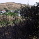 Vegetation burned during a late night fire at Ocean View on Friday night. PHOTO: PETER MCINTOSH