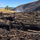 The aftermath of the out of control burn that scorched about 20ha near Lawrence. Photo: Richard...