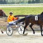 Driver Matthew Williamson looks across to make sure Global Domination has his rivals covered at...