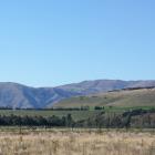 The Queenstown Lakes District Council has said  homes proposed to be built in this paddock near...