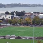 The new artificial playing surfaces at Logan Park. PHOTO: PETER MCINTOSH
