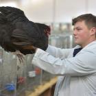 PHOTO: GERARD O'BRIEN