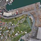 An image showing where Port Otago will undertake benching of Flagstaff Hill, overlooking Port...