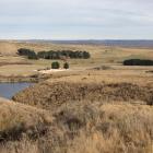 Looking out over Foulden Maar, near Middlemarch, and (inset) some of the fossils discovered on...