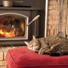 Cats tolerate you and really adore the armchair that is closest to the fire. Photo: Getty Images