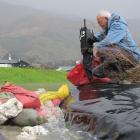 Otago Fish  &amp; Game Council councillor Ray Grubb inspects the dam spilling stormwater into the...