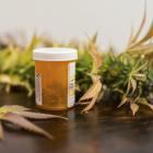 A pair of Otago academics have argued for cannabis-based medicines to be subject to the same...